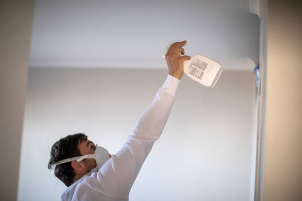 Best Basement Mold Remediation in Van, TX