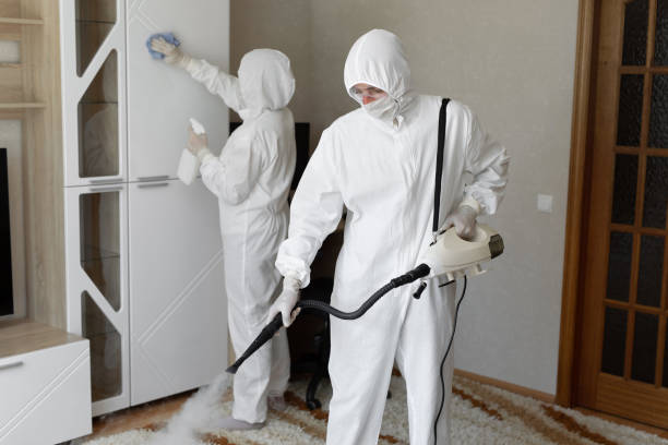 Best Residential Mold Remediation in Van, TX