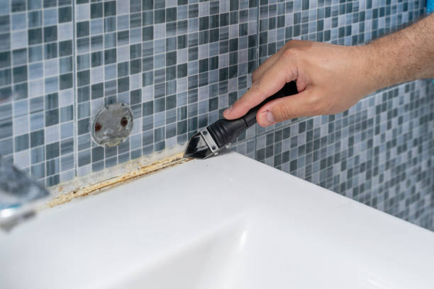 Best Health and Safety Mold Remediation in Van, TX