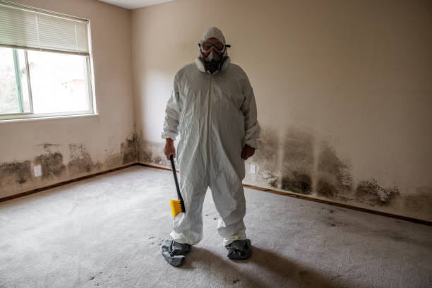 Best Emergency Mold Remediation in Van, TX